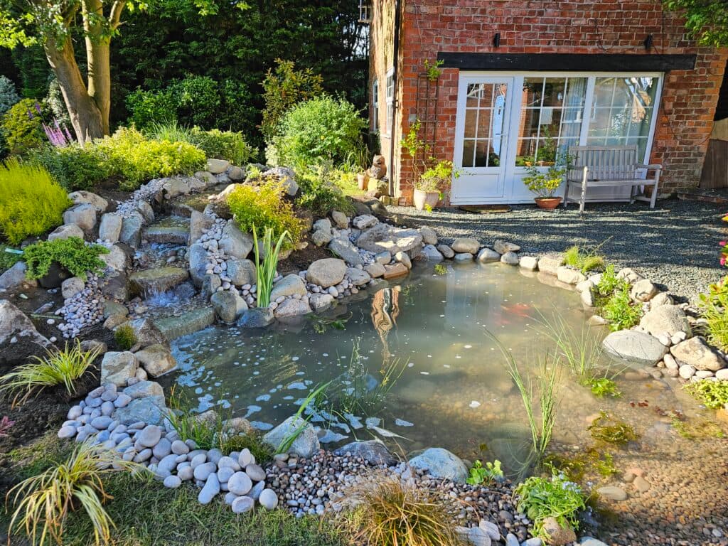 Pond renovation project