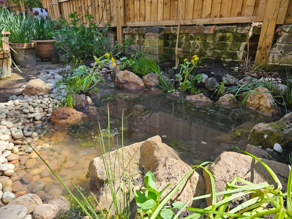 New pond construction