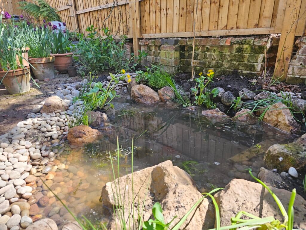Pond services in Westerham