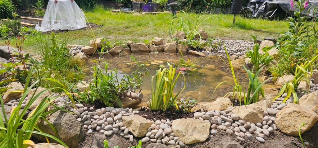 Pond maintenance in Essex