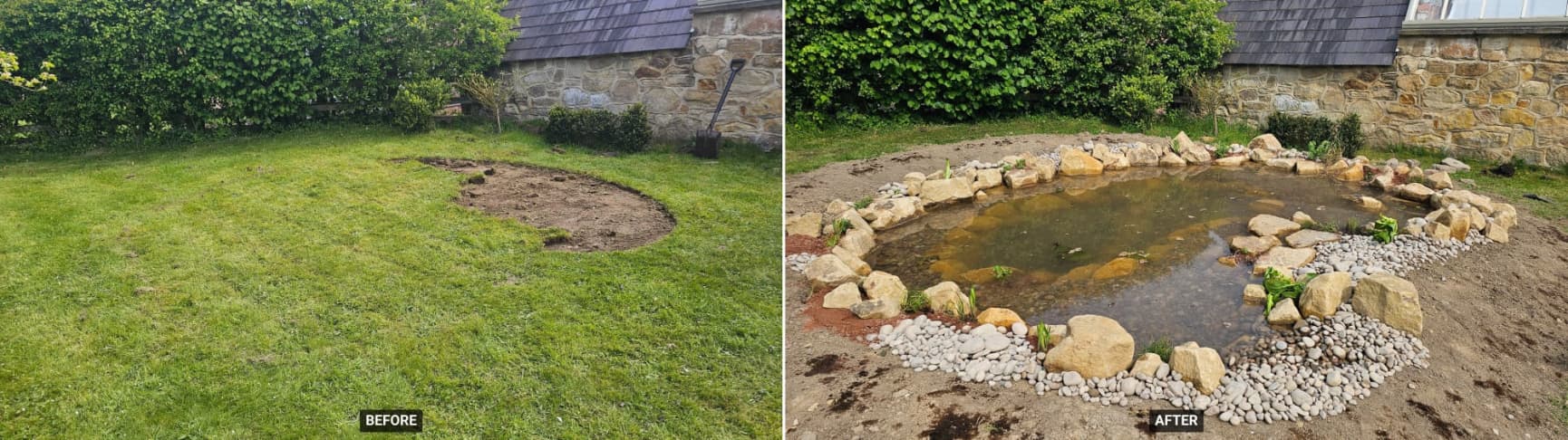 Before and after wildlife pond build from scratch
