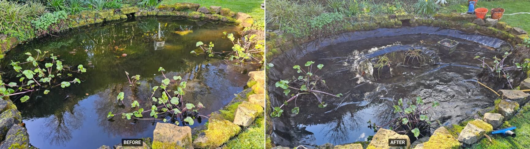 Before and after full pond cleanout - drained and restored