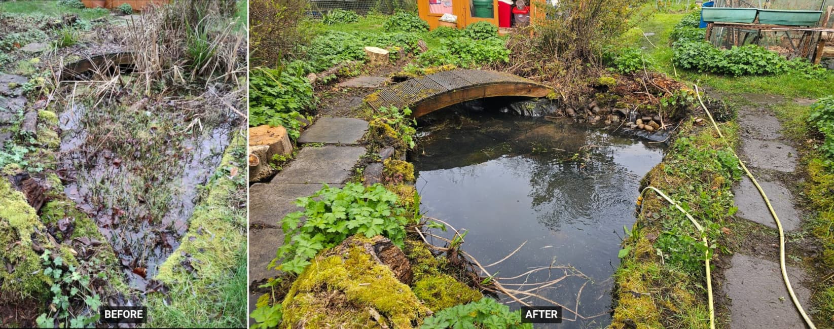 Before and after overgrown pond restoration