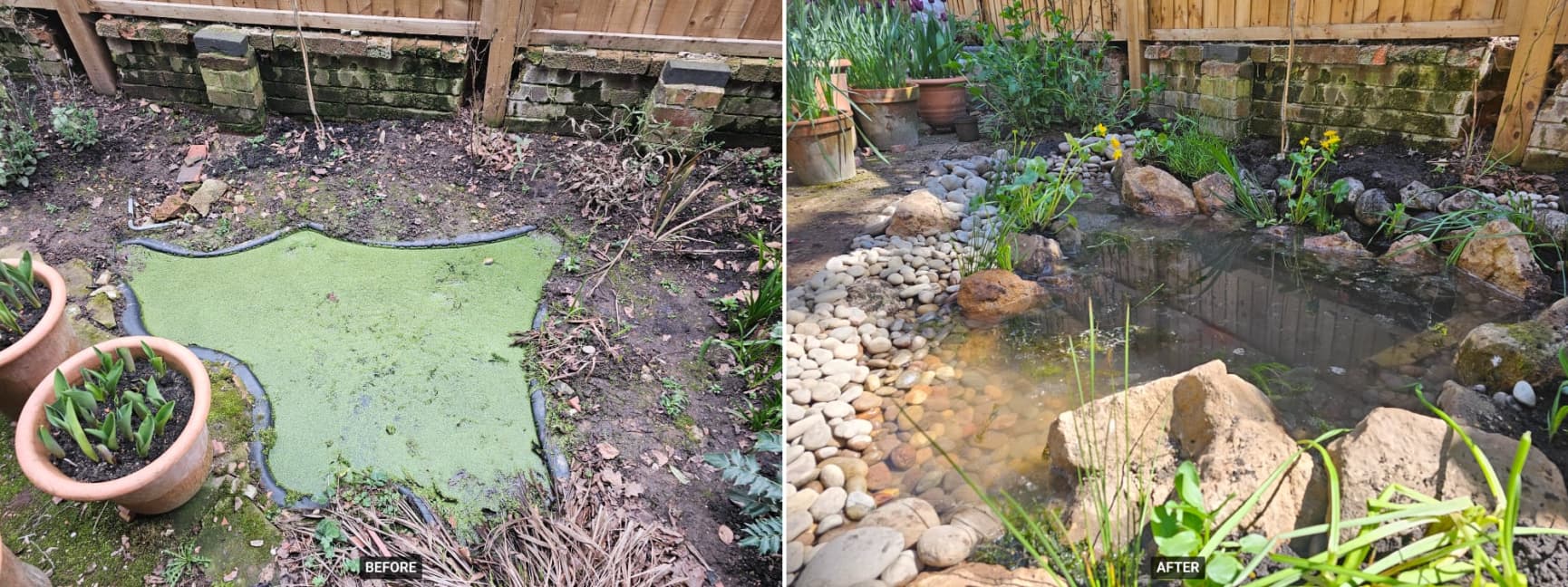 Before and after pond renovation - overgrown pond restored